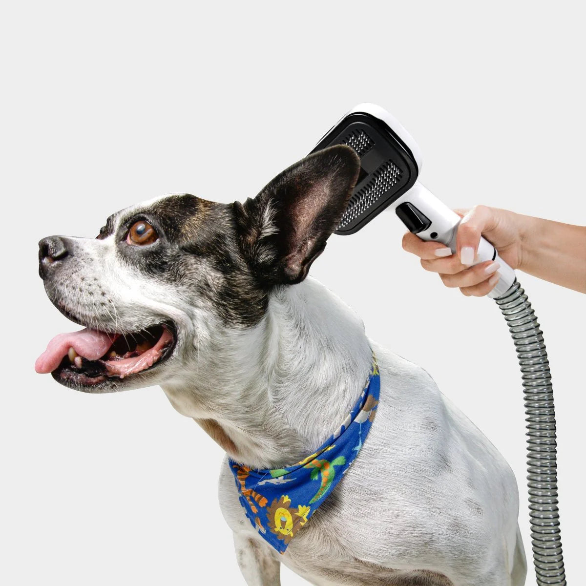 Pet Clean Aspiradora y Cortapelo para mascotas