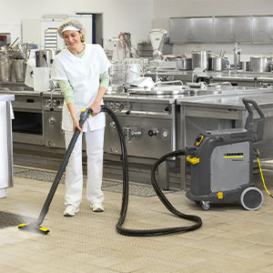 Limpiadoras de Vapor Professional